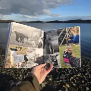 A Crofter's Year image 6