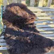 Mule Sheepskin image 1