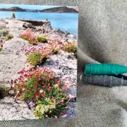 Greetings cards pack of 6 - summer image 12