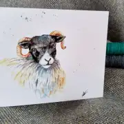 Greetings cards pack of 6 - My Artwork image 10