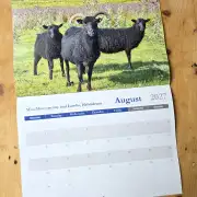 2027 Calendar - sheep and dogs image 9