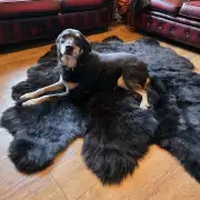 Sexto Sheepskin - 6 pelt rug! Hebridean image 7