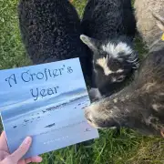 A Crofter's Year image 14