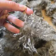 Gotland lambswool 324g image 2