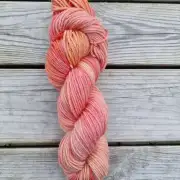 Hand-Dyed Yarn: Bluefaced Leicester, DK image 1