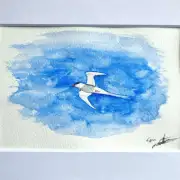 Mini Original Watercolour of a tern image 1