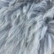 Herdwick Sheepskin image 2