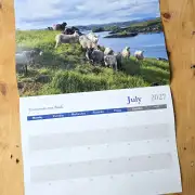 2027 Calendar - sheep and dogs image 8