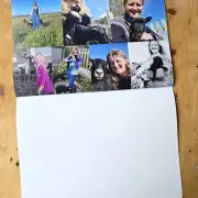 2027 Calendar - sheep and dogs image 14