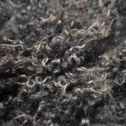 Gotland fleece - whole image 5