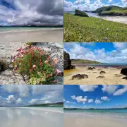 Greetings cards pack of 6 - summer image 1