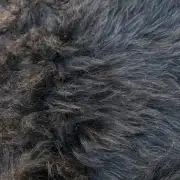 Hebridean Sheepskin image 4
