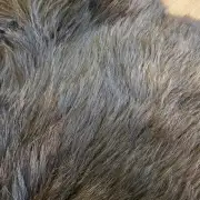 Hebridean Sheepskin image 3