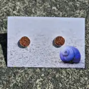 Harris tweed stud earrings image 1