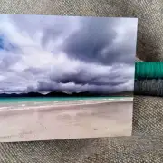 Greetings cards pack of 6 - summer image 14