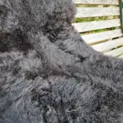 Hebridean Sheepskin image 3