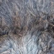 Herdwick Sheepskin image 8