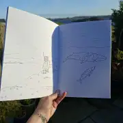 A Crofters Colouring Book image 4