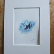 Mini Original watercolour of a manta ray image 1
