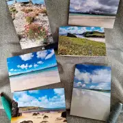 Greetings cards pack of 6 - summer image 8