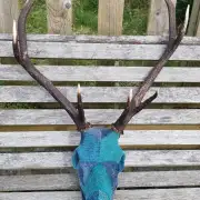 Tweed covered stag skull image 1
