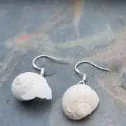 Sea Shell Earrings - Luskentyre image 2