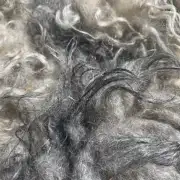Gotland fleece image 8