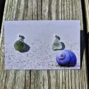 Sea Glass stud earrings image 1