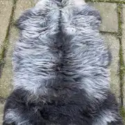 Hebridean X Sheepskin image 4