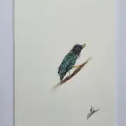Mini Original Watercolour of a starling image 1