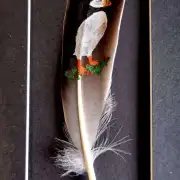 Puffin painted on a goose feather image 1