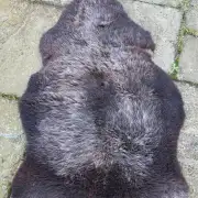 Herdwick Sheepskin image 4