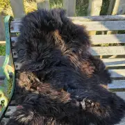 Hebridean Sheepskin image 1