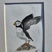 Mini Original Watercolour of a puffin image 2