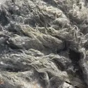 Gotland fleece - whole image 7