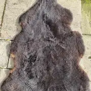 Hebridean Sheepskin image 3