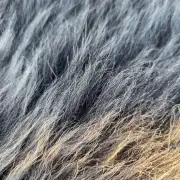 Herdwick Sheepskin image 2