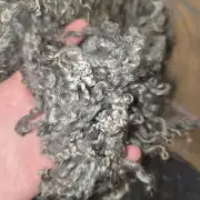 Gotland lambswool 428g image 5