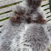 Herdwick Sheepskin image 1