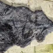 Hebridean Sheepskin image 3