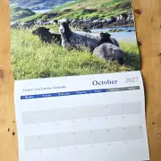 2027 Calendar - sheep and dogs image 11