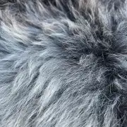Herdwick Sheepskin image 2