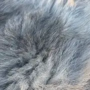 Herdwick Sheepskin image 2