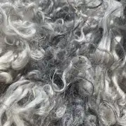 Gotland fleece image 9