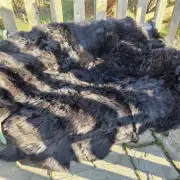 Sexto Sheepskin - 6 pelt rug! Hebridean image 1