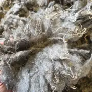 Gotland lambswool 662g image 10