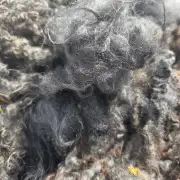 Gotland fleece image 6