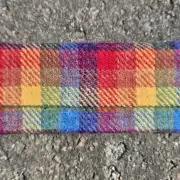 Glasses case image 1
