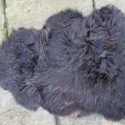 Hebridean Sheepskin image 5