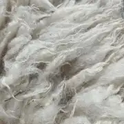 Gotland fleece image 6